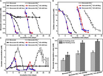 Enhanced Anaerobic Biodegradation of Benzoate Under Sulfate-Reducing Conditions With Conductive Iron-Oxides in Sediment of Pearl River Estuary